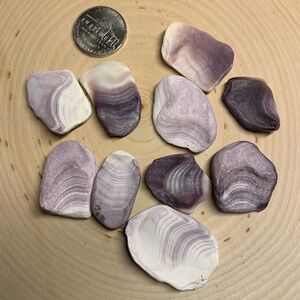 ✨ Genuine Wampum Shell Pieces – Beautiful Natural Purples & Whites ✨